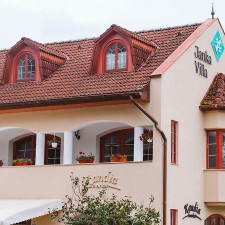 Janka Villa Calugareni  Exterior photo